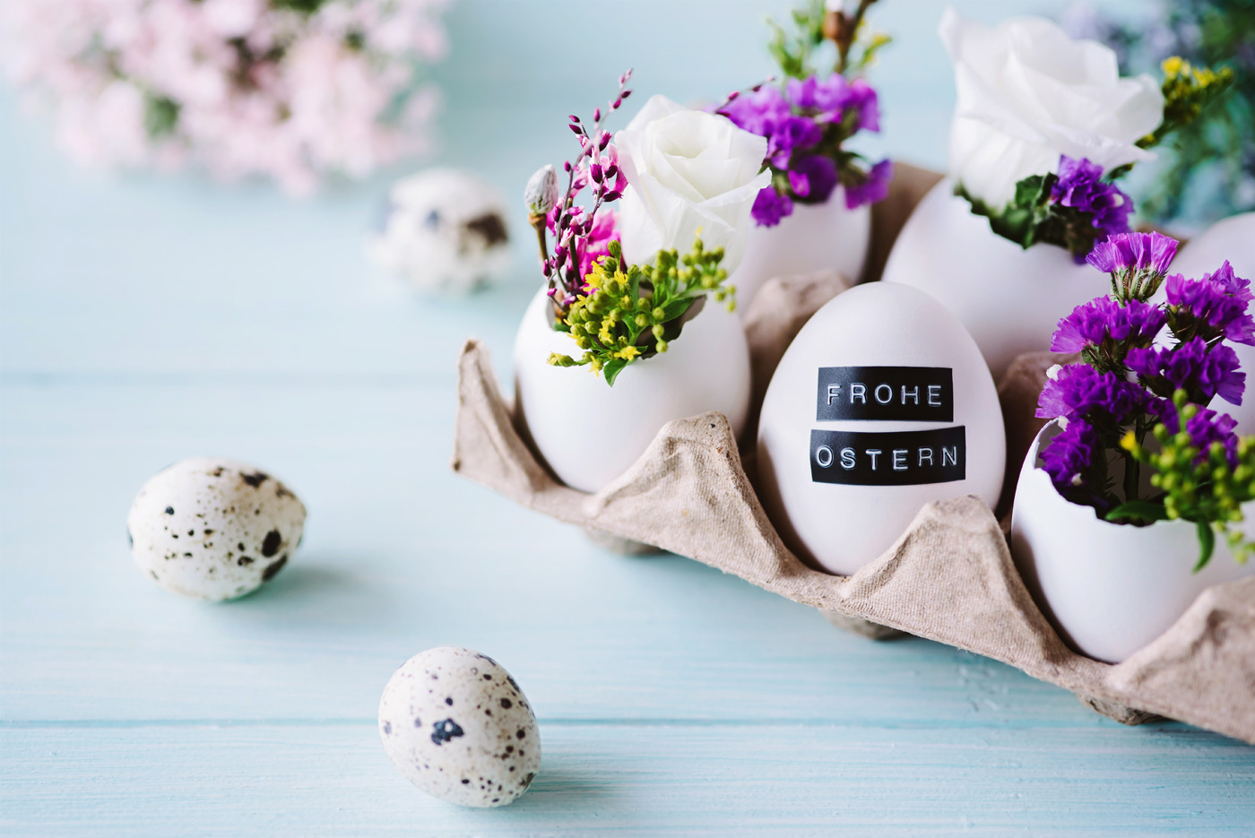 6 weiße Eier in einem Eierkarton. Bei fünf Eiern ist die Schale oben aufgeschlagen und es befinden sich kleine lilane Blumen darin. Auf einem Ei ist Frohe Ostern draufgedruckt